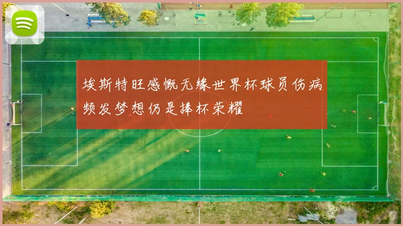 埃斯特旺感慨无缘世界杯球员伤病频发梦想仍是捧杯荣耀